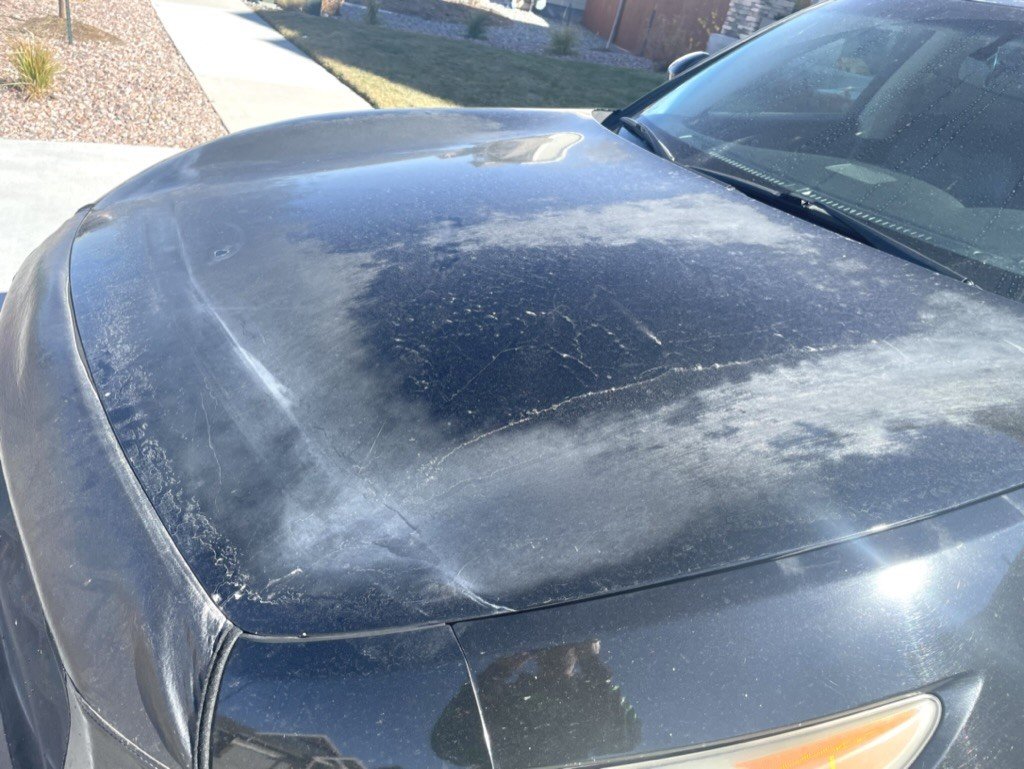 Severely oxidized black hood before paint correction at Elite Auto Spa